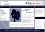 Blairgowrie Associates website